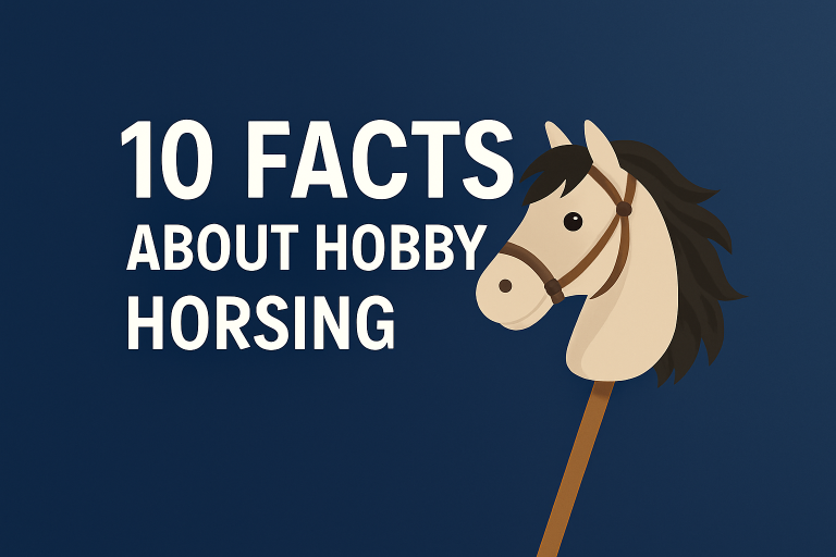 facts about hobby horsing